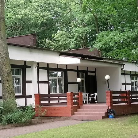 Hostel Dworek Osiecki Koral Osieki  Экстерьер фото